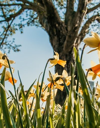 Vrolijk genieten van de voorjaarsvakantie!