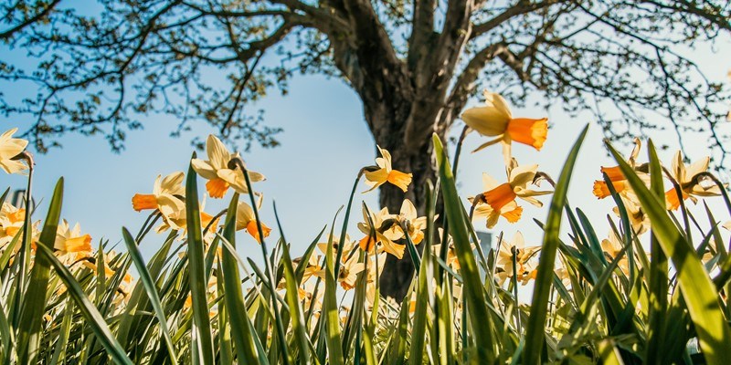Vrolijk genieten van de voorjaarsvakantie!