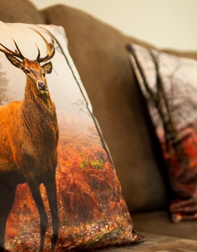 Herfstvakantie op Buitenplaats Sprielderbosch – Luxe en rust op de Veluwe