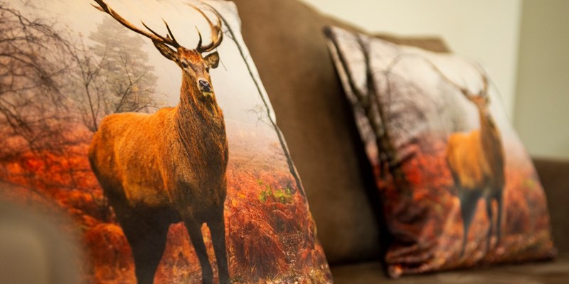 Herfstvakantie op Buitenplaats Sprielderbosch – Luxe en rust op de Veluwe