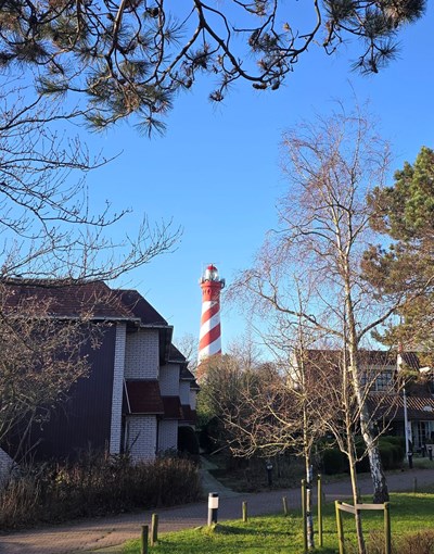 Hotel & Appartementen De Torenhoeve Nieuw-Haamstede