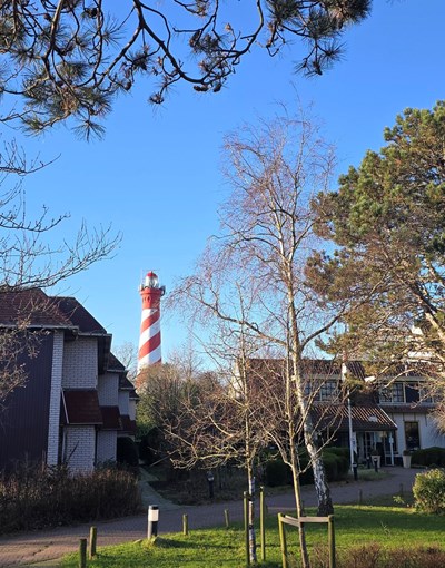 Hotel & Appartements De Torenhoeve Nieuw-Haamstede