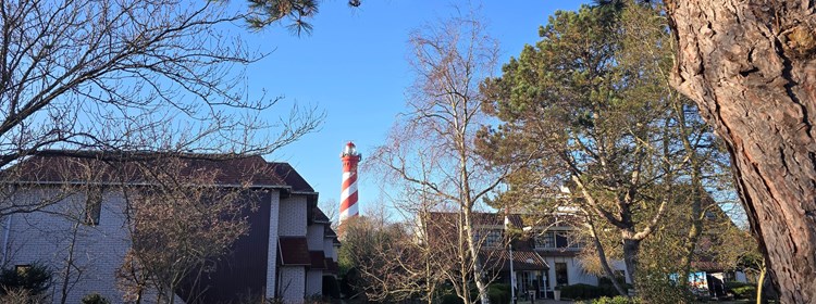 Hotel & Appartementen De Torenhoeve Nieuw-Haamstede